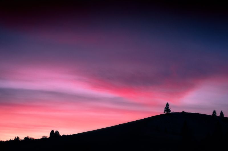 ukraine A Winter Shade of Palephoto preview