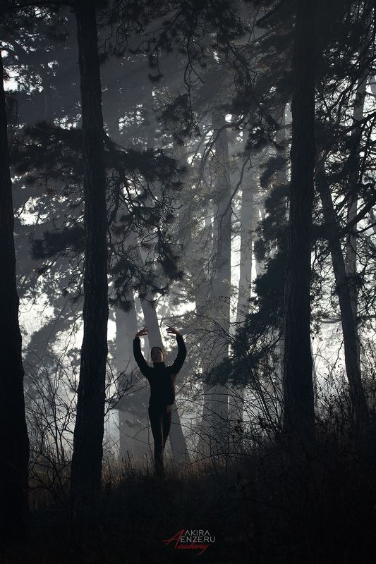 ballet ballerina outdoor меня преследовала тень в лесуphoto preview