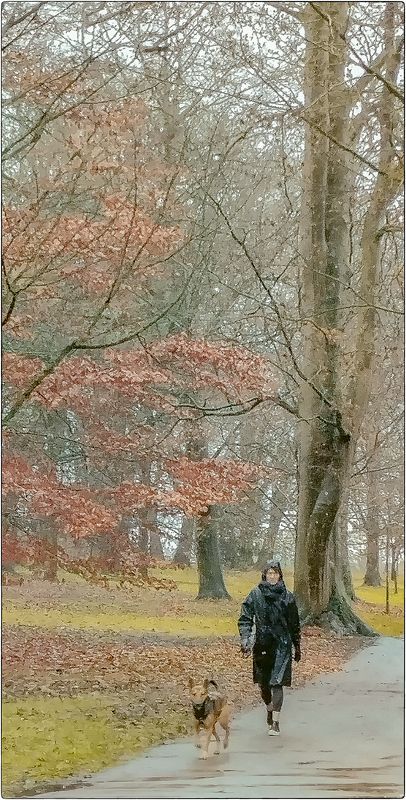 В январеphoto preview