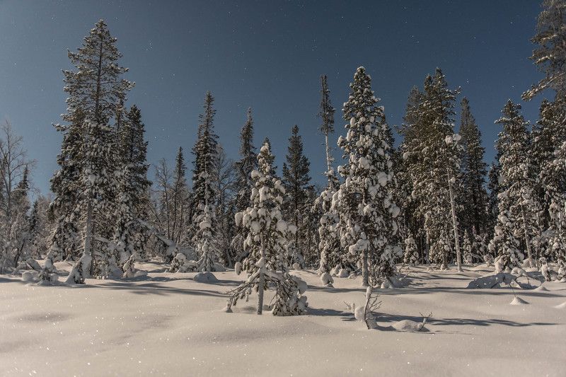 Лунный светphoto preview