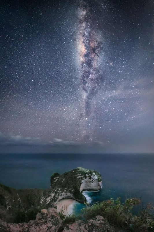 Китовые грёзыphoto preview