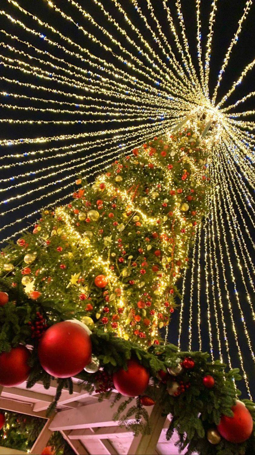 Автор: Аседач Александр , Аседач Александр