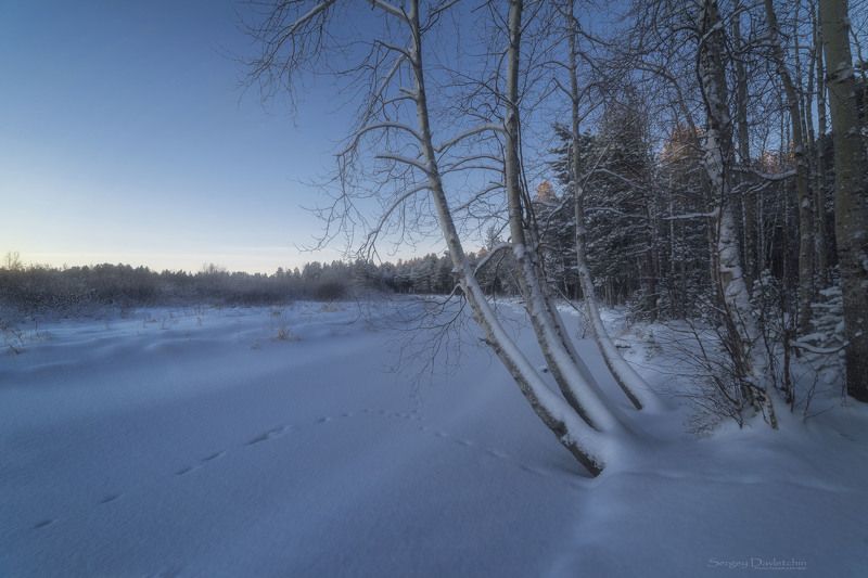 Рассветphoto preview