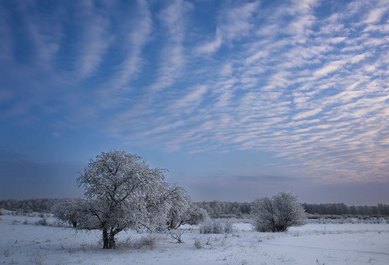 Зима, небо...photo preview