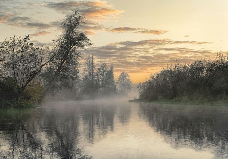 O porankuphoto preview