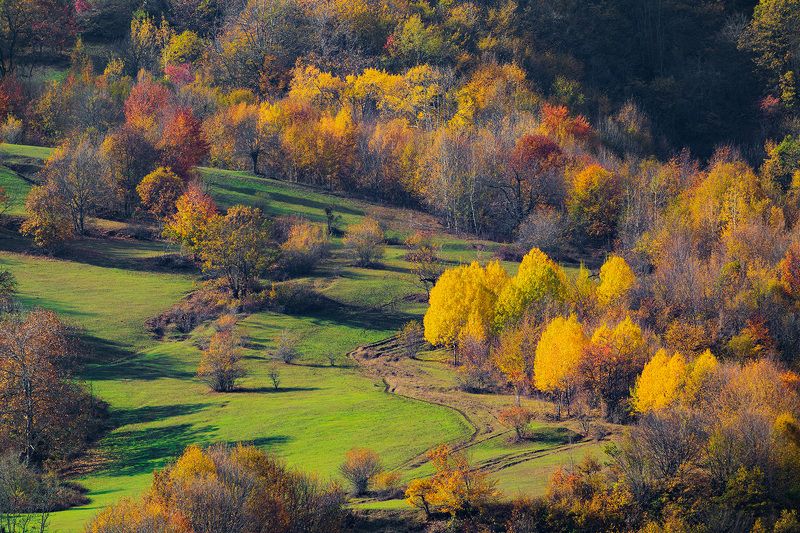 азербайджан, горы, осень, лес Осень в горахphoto preview