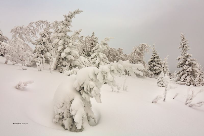 г. юрма, южный урал, Природа Южного Уралаphoto preview