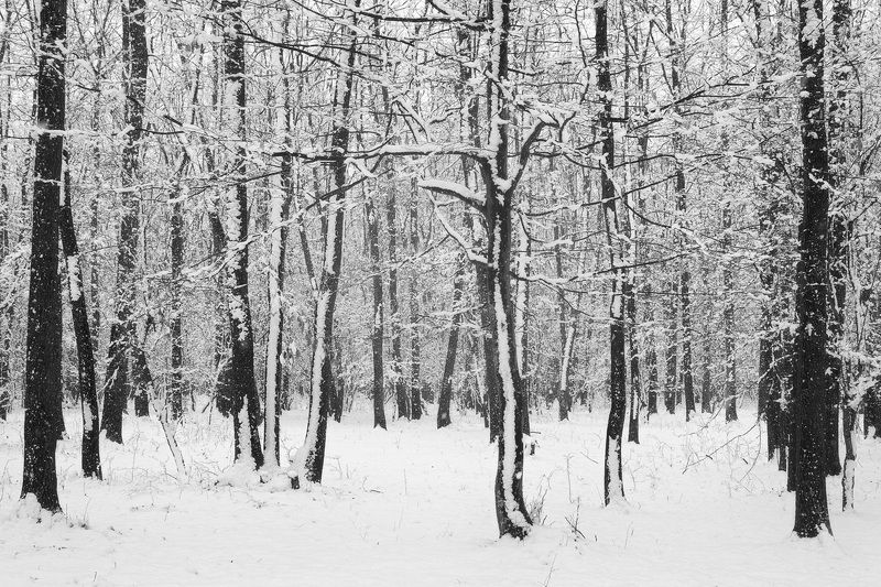 2022 фото превью