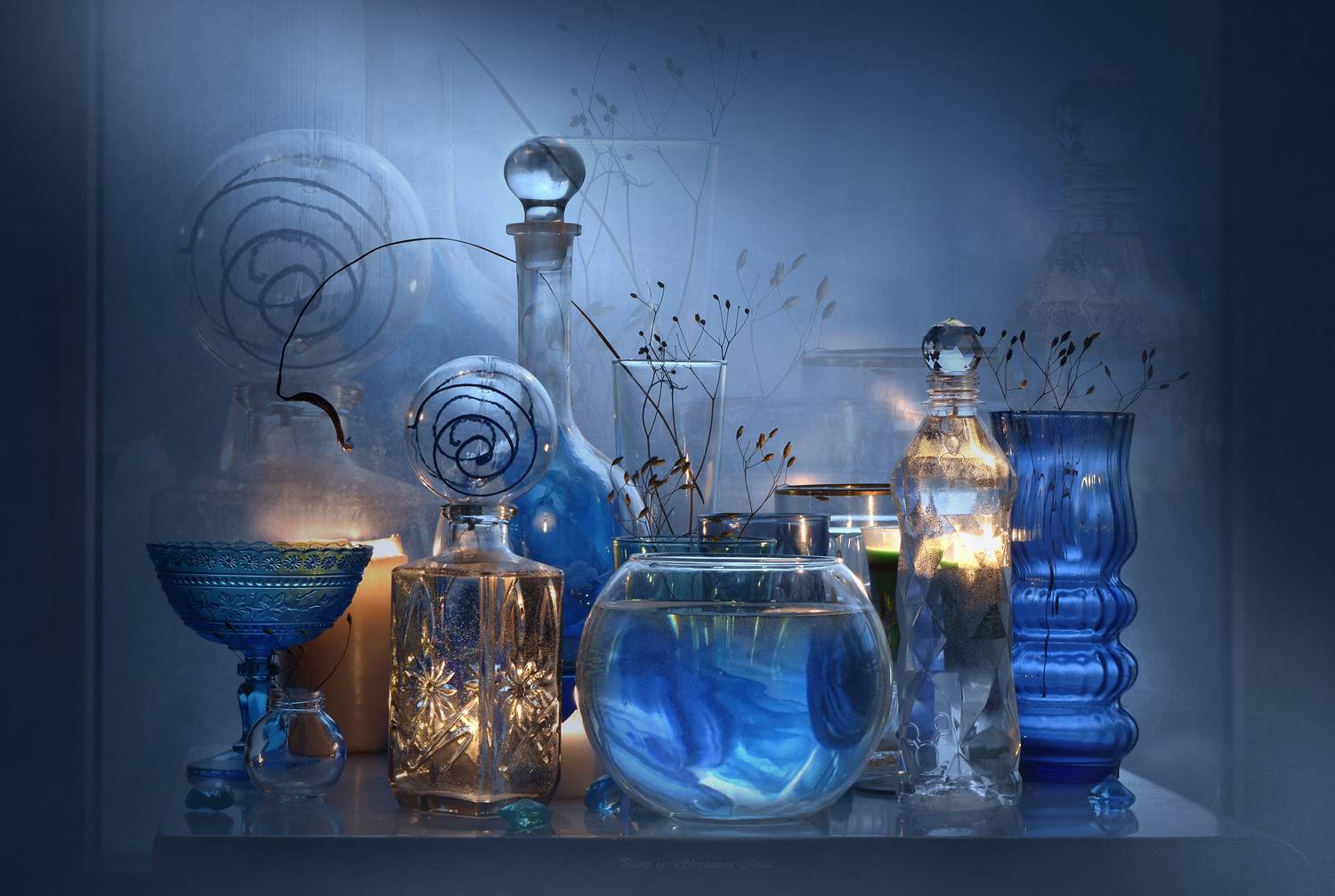 , Шипунова Ирина