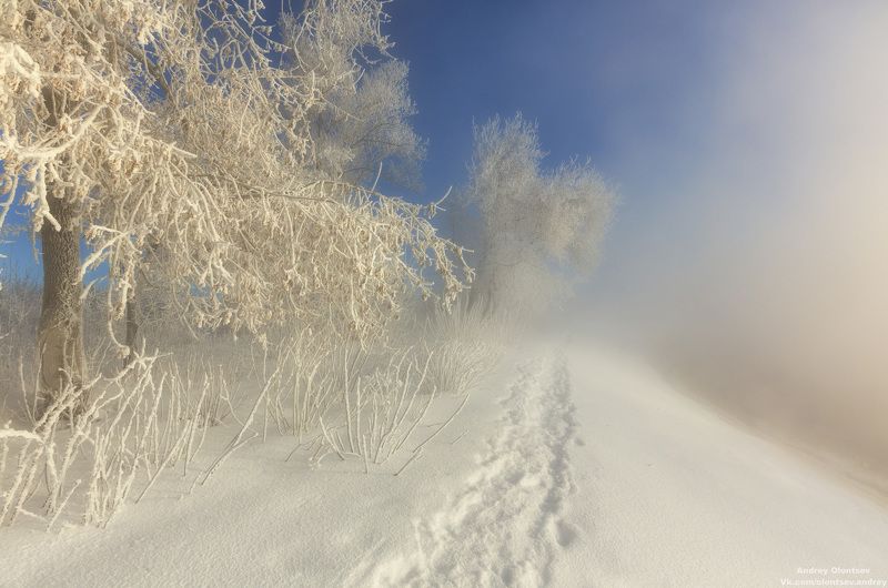 солнце, россия, рассвет, природа, подмосковье, погода, пейзажи, пейзаж, отражение, наукоград, красота, дубна, вода, весна, weather, water, spring, russia, reflection, naukograd, nature, moscow, landscape, dawn, canon, dubna, beauty *** фото превью