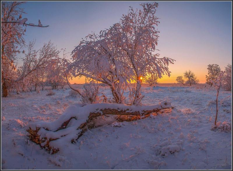 прорва ЗИМНЯЯ  СКАЗКАphoto preview