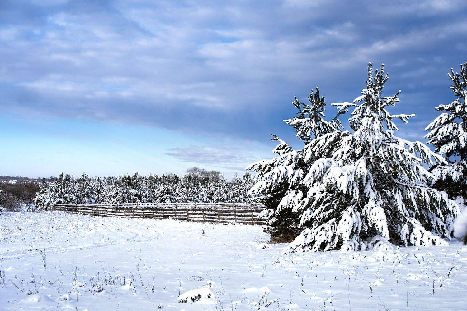 , Александр Степочкин
