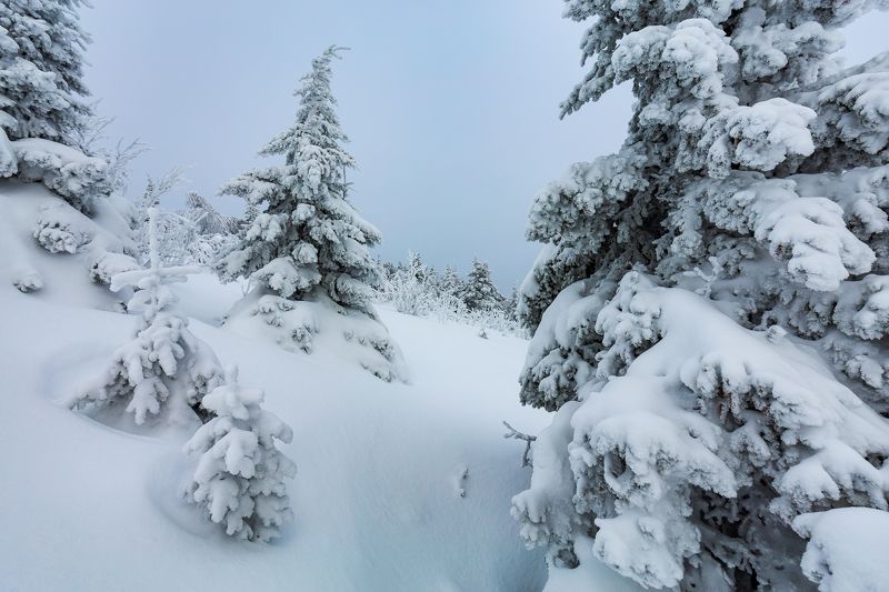 г. юрма, южный урал, Природа Южного Уралаphoto preview