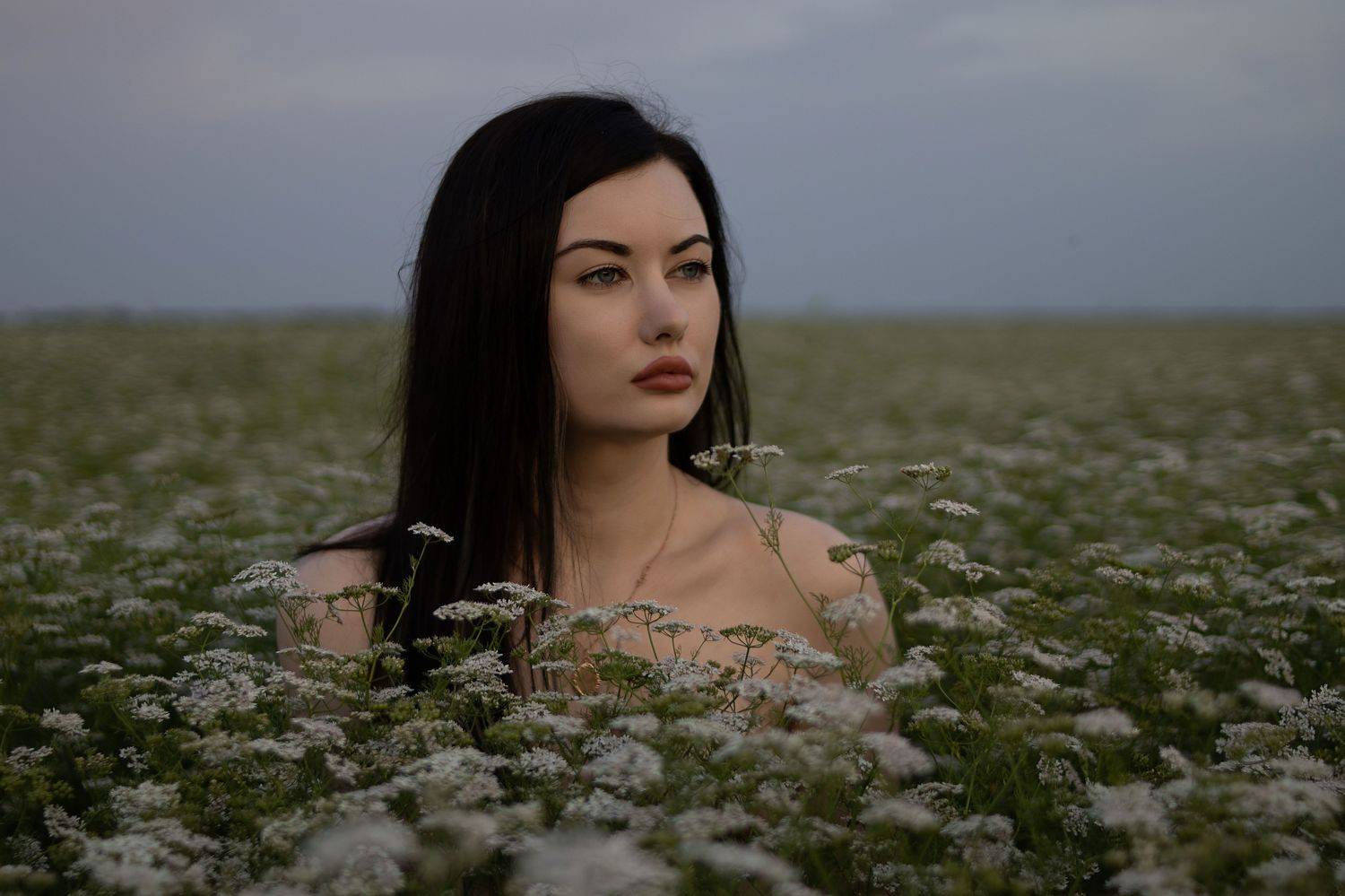 Автор: Матвеев Алексей , Матвеев Алексей