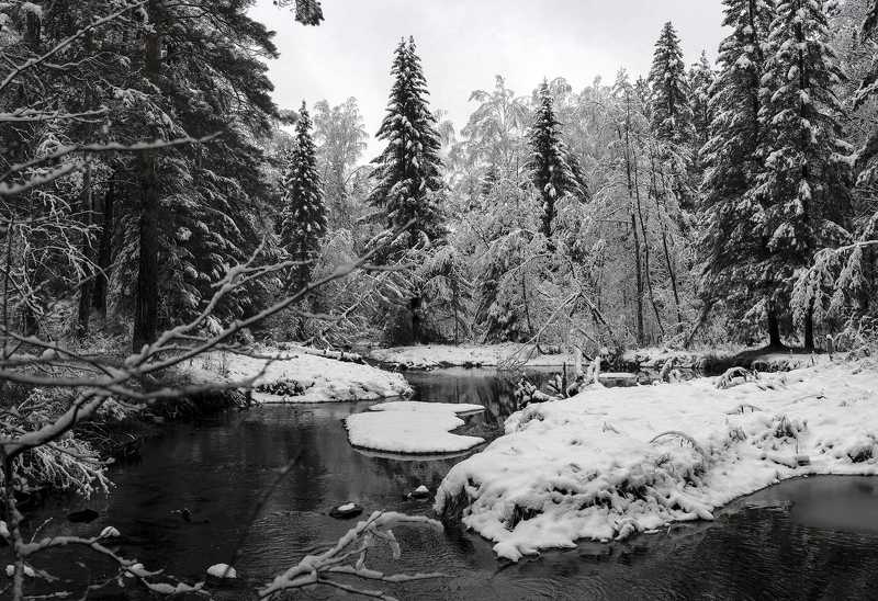 р. Чауж готовиться к зимеphoto preview