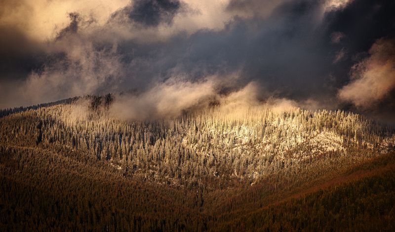 карпаты Драмаphoto preview