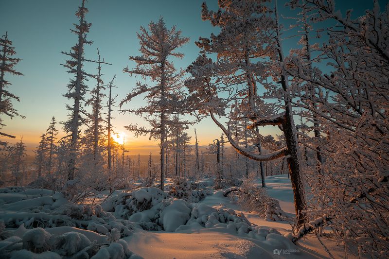 якутия, дальний восток, сибирь, зима, мороз, снег, закат, тайга, крещение photo preview