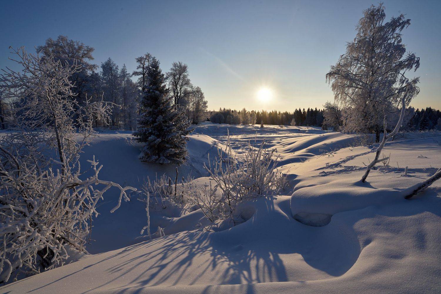 Автор: Андрей Зыкин , Андрей Зыкин