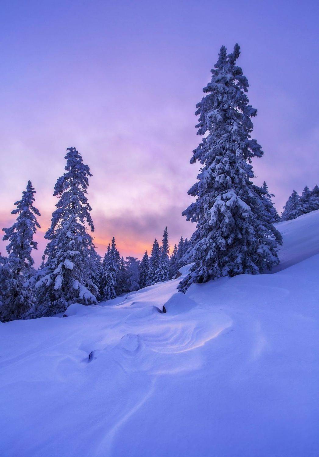 Закат на Зюраткуль. Автор: Vyacheslav Lozhkin , Vyacheslav Lozhkin