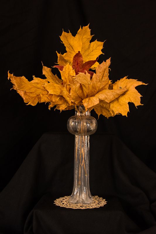 autumn, black, close-up, color, colors, color image, concept, conceptual, glass, leaf, leaves, nature, photography, still life, vase, Autumn Reminiscencephoto preview
