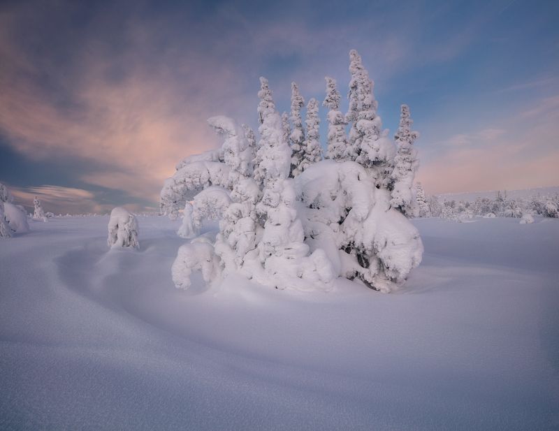 гух photo preview