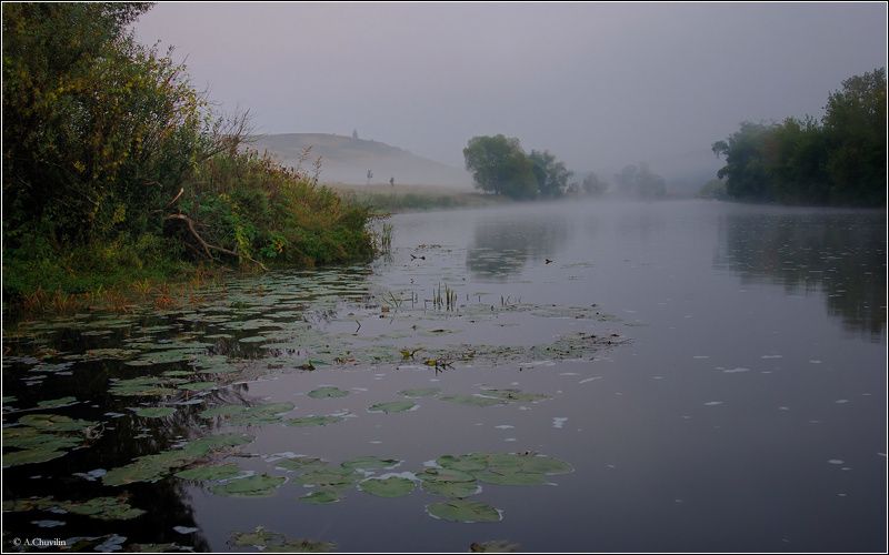 утро,пасмурно,река,красивая,меча,тульская,область Утро у Красивой Мечиphoto preview