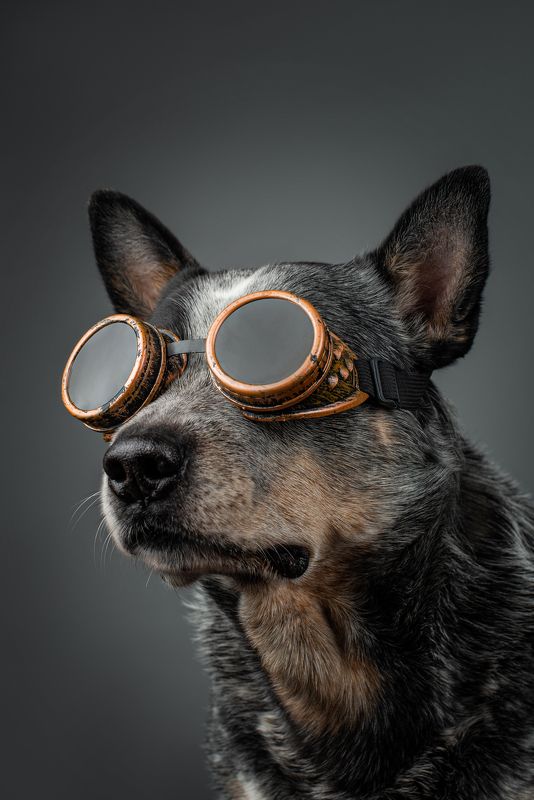 Стимпанкphoto preview