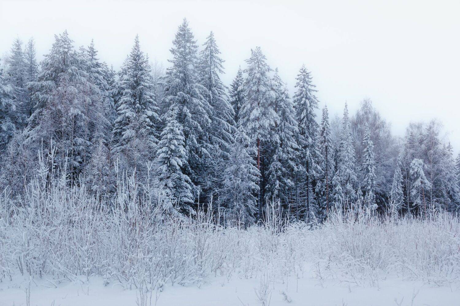 , Котов Андрей