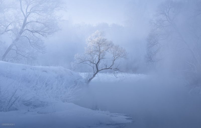 истра, река, зима, мороз, туман, иней, дерево Речной призракphoto preview