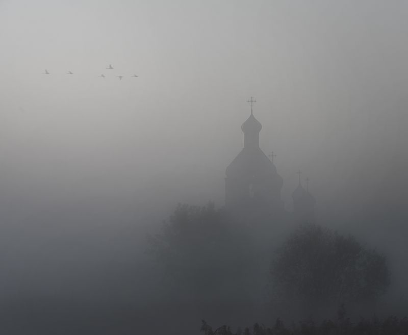 рано утромphoto preview