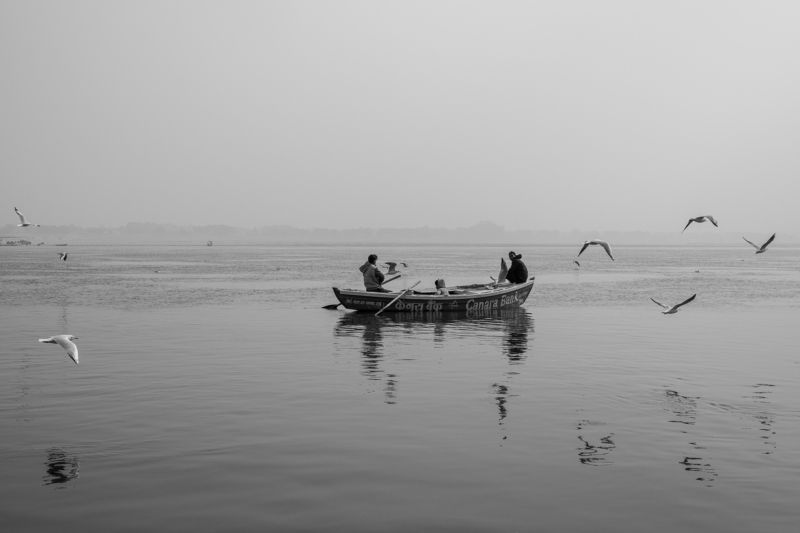 Monochrome, Travel, Boats, Birds, Flying, River, Ganga BOAT RIDE IN GANGESphoto preview