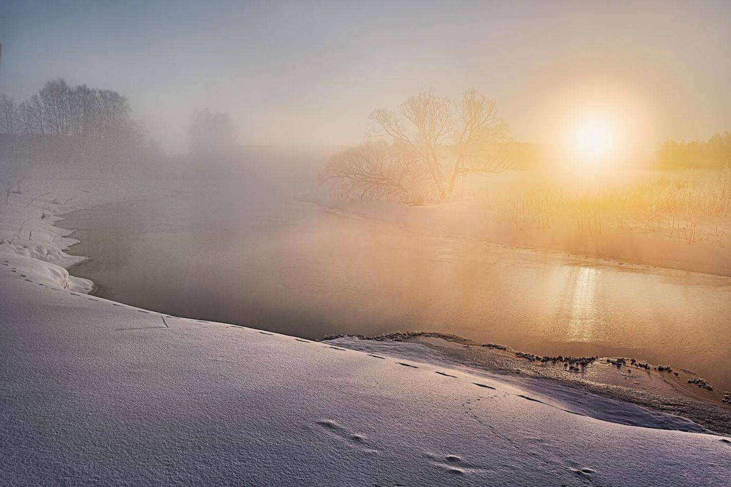 , Евгений Ерохин