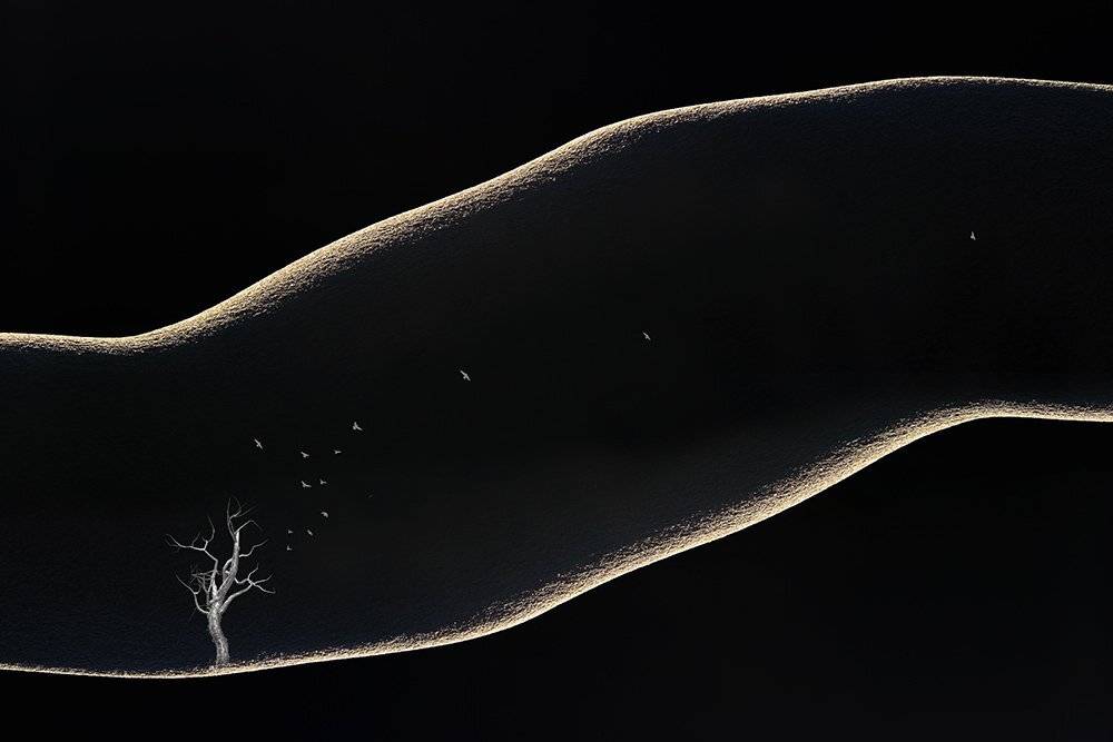 black hole, tree, birds, fine art, manipulation, shadow, milad safabakhsh, conceptual,, milad safabakhsh