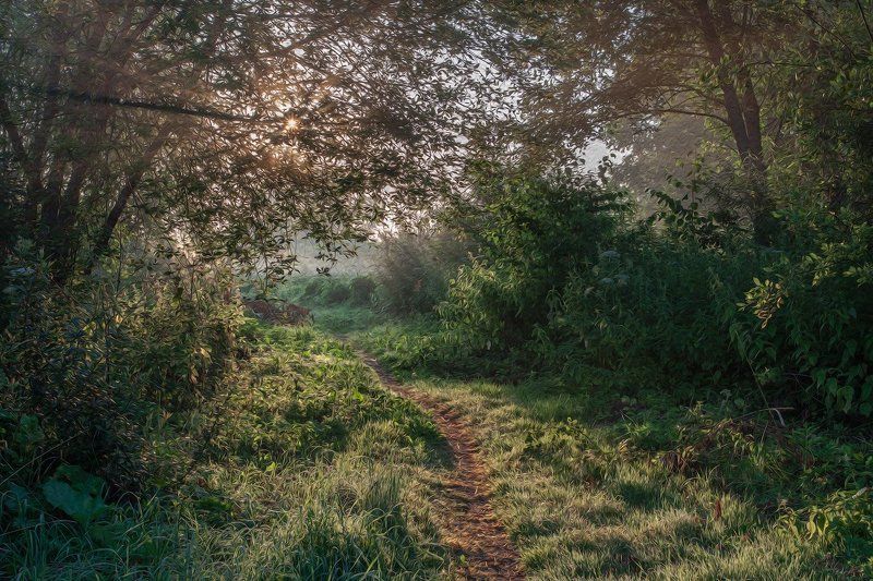 Тригорское. Псковская область. Тёплое утроphoto preview