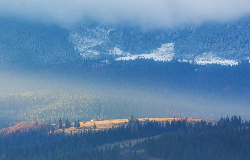 дуэтphoto preview