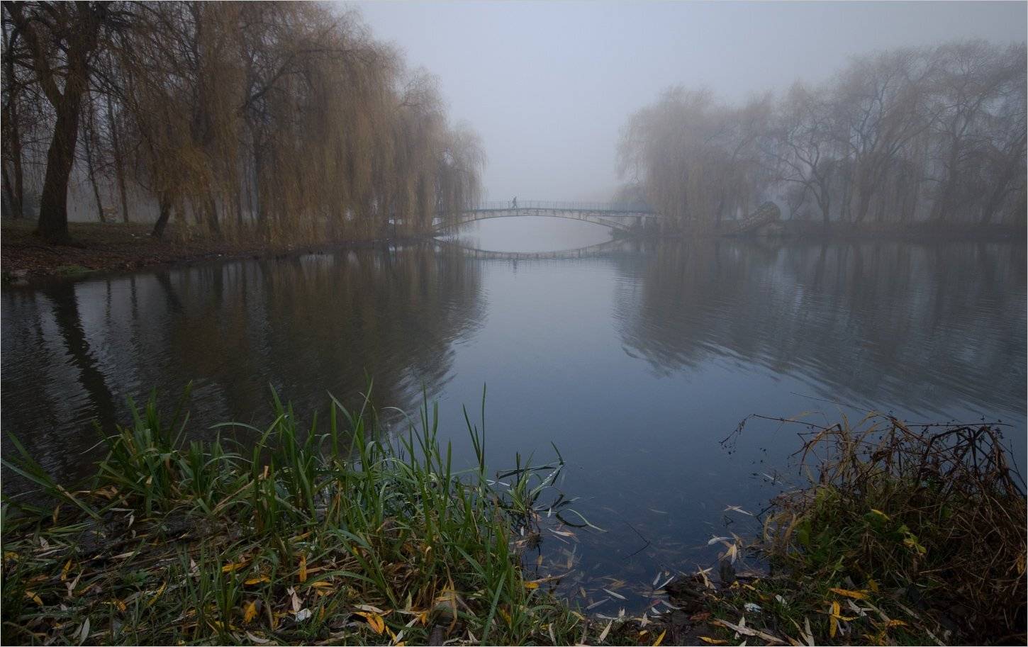 , Николай Шахманцир