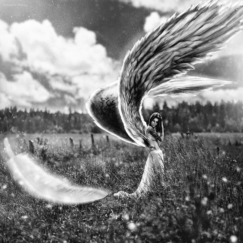 Коллаж, Портрет ***photo preview