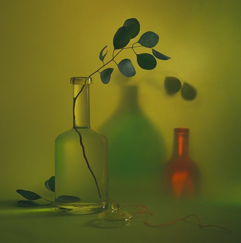 С веточкой эвкалипта...photo preview