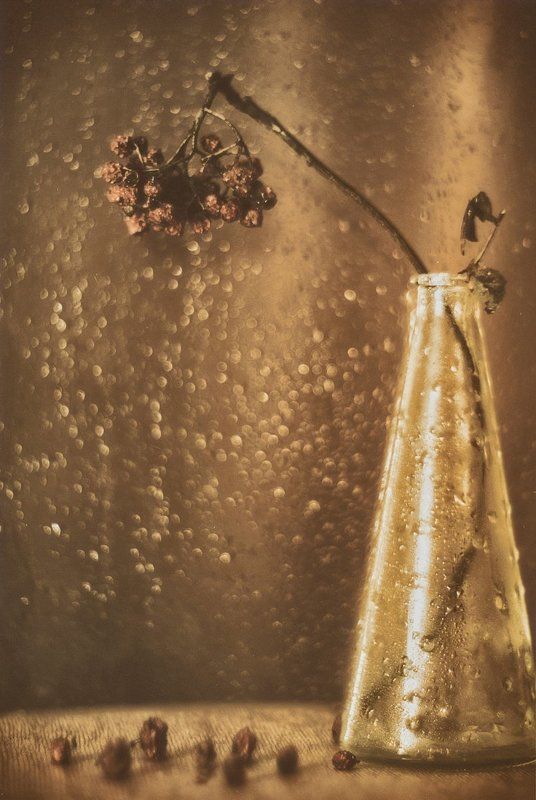 helios, гелиос ...в поисках светаphoto preview