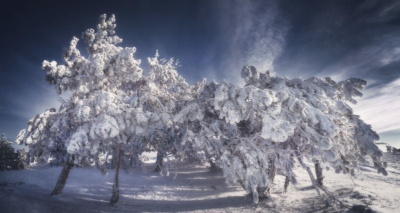 Демерджи, Зима, Крым photo preview