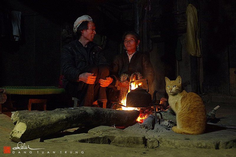 frank dang, dang tuan trung, Winter nightphoto preview
