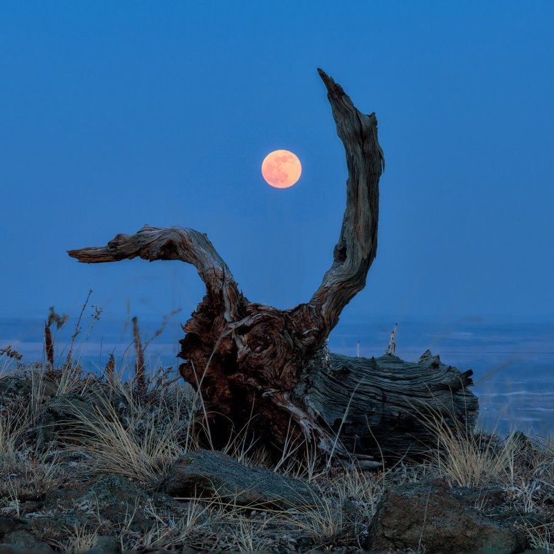 Башкирия, Весна, Луна, Нурали Moon Hunterphoto preview