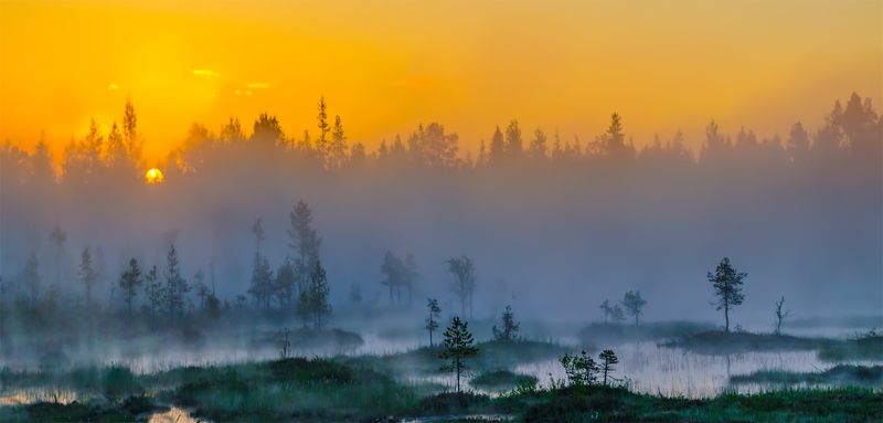 Болото, Восход, Карелия, Лето, Панорама, Пейзаж, Природа, Рассвет, Утро На рассветеphoto preview