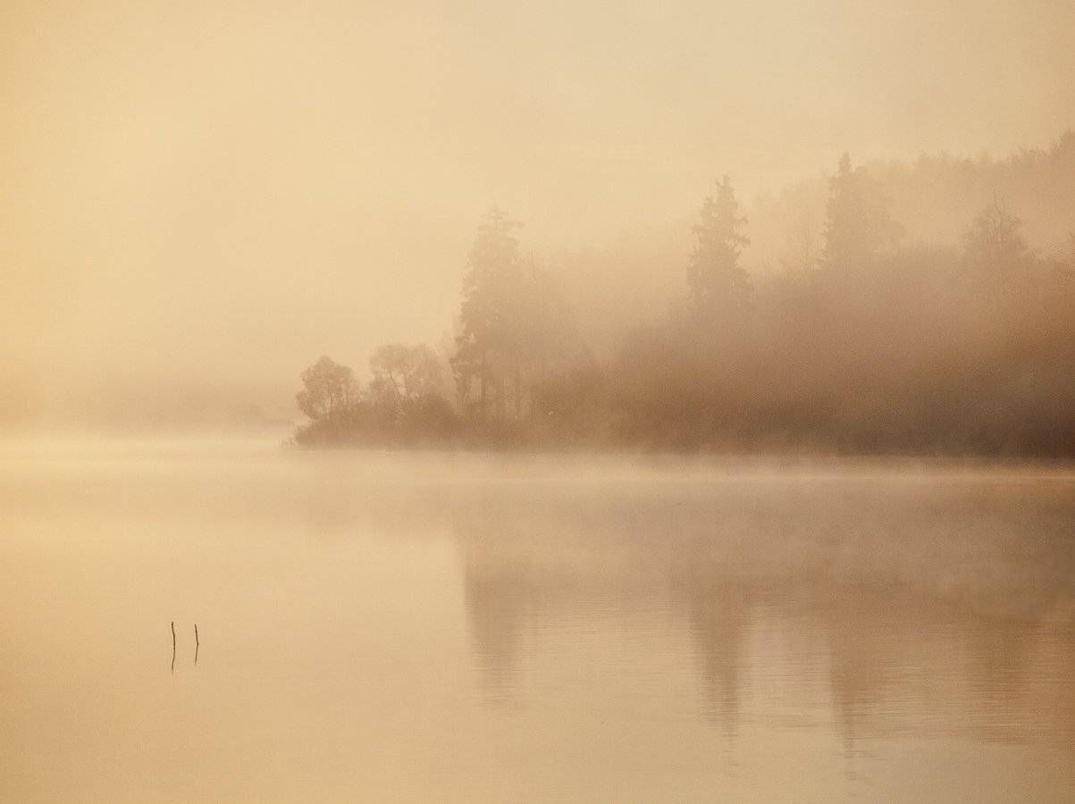 ***. Автор: Владимир Перепечаев , Владимир Перепечаев