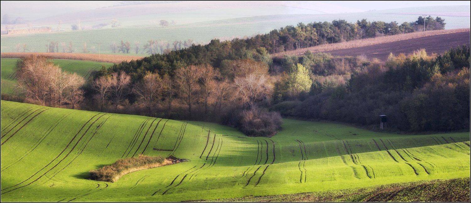 , Александр Марецкий