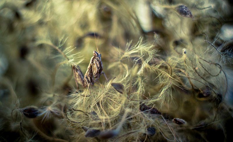 ИСТУКАН.photo preview