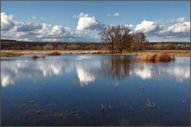 Половодье на Северском Донцеphoto preview