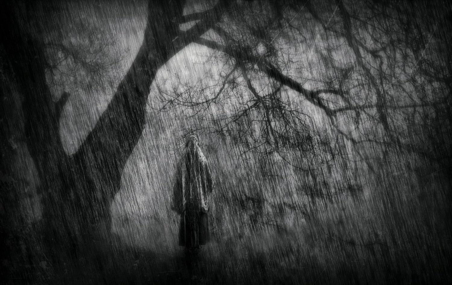 Автор: Анна Кудрявцева , Анна Кудрявцева