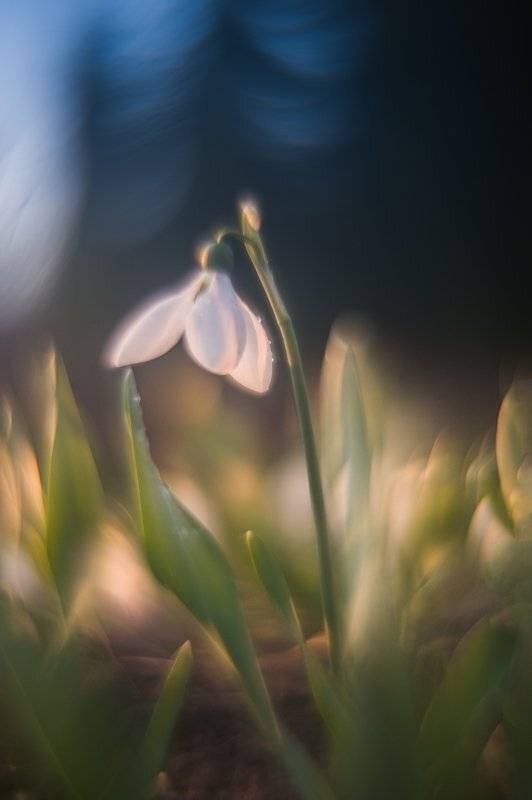 , Татьяна Аверина