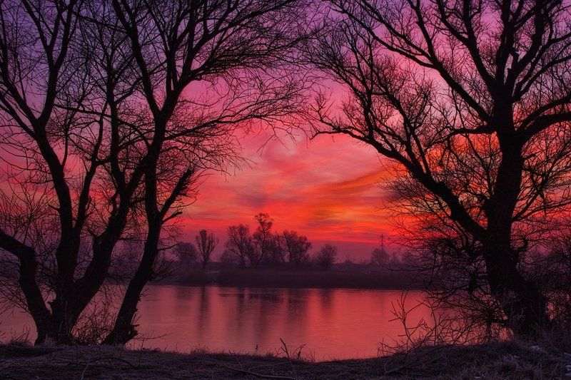 булгария, деревья, озеро, разсвет На раcсветеphoto preview